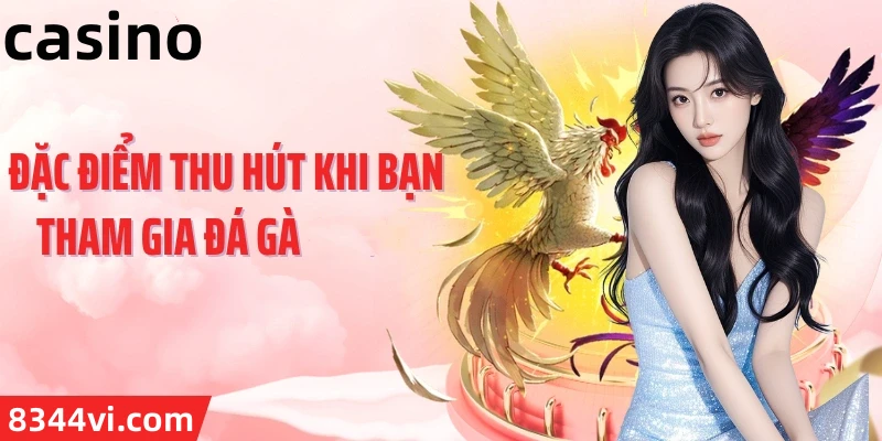 Hình ảnh quảng cáo của vb66 hiển thị nền tảng và các lợi ích